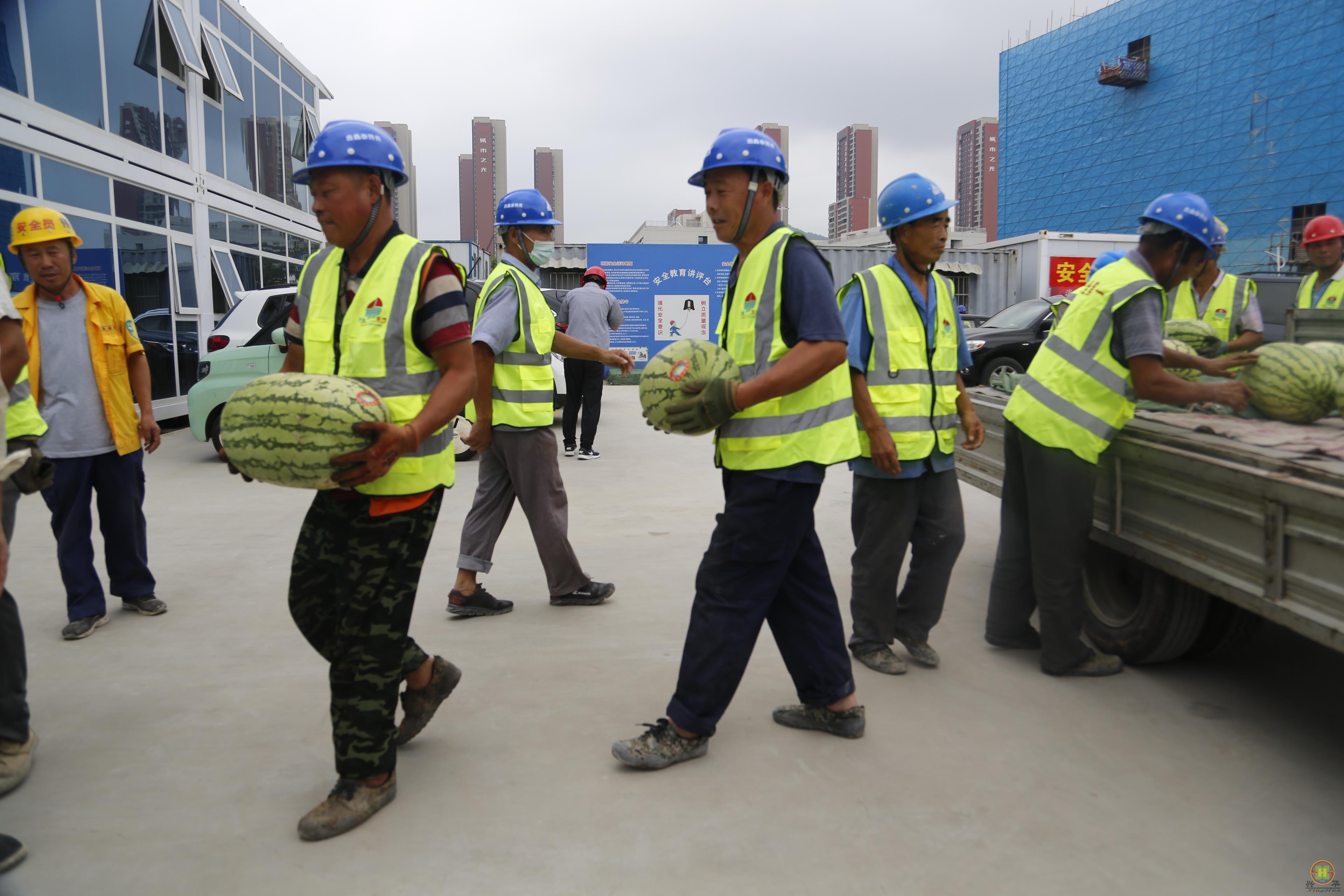 _73A3610.JPG _73A3610.JPG